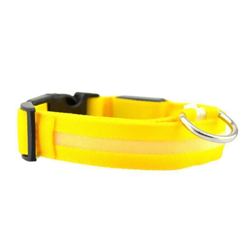 XL Size USB Rechargeable LED Dog Collar Nylon Glow Flashing Light Up Gear - Orange