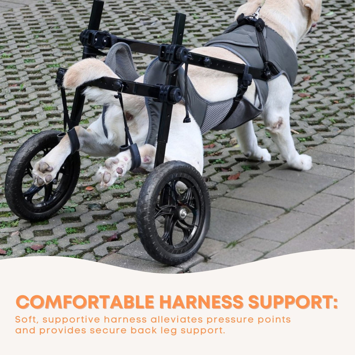 Rooster Farms Large Dog Wheelchair XXL Harness - Adjustable Back Leg Aid