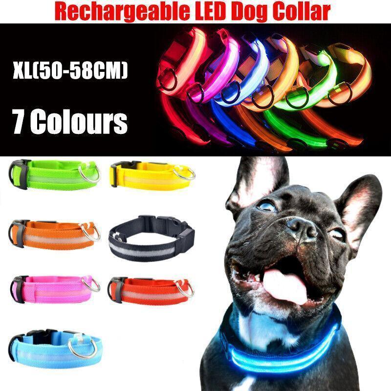 XL Size USB Rechargeable LED Dog Collar Nylon Glow Flashing Light Up Gear - Orange