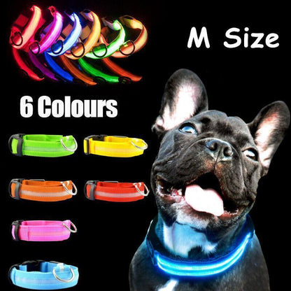 M Size USB Rechargeable LED Dog Collar Nylon Glow Flashing Light Up Pet Collar - Yellow