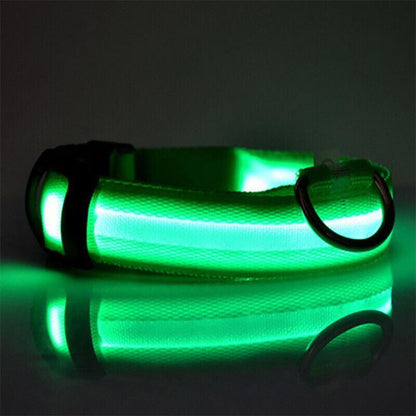 M Size USB Rechargeable LED Dog Collar Nylon Glow Flashing Light Up Pet Collar - Yellow