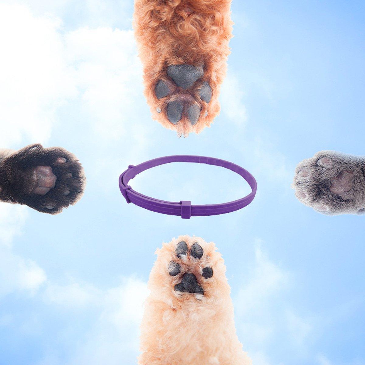 3/4pcs Calming Collar for Cats and Dogs Soothing Pet Relief Collar Long Lasting - 70cm-3PCS