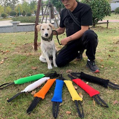 Red Durable 2-Pack Tug-of-War Dog Training Toy - Tear-Resistant, Safe & Interactive for All Breeds