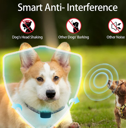 Water Ripple Pattern Waterproofing USB Rechargeable Smart Color Screen Anti-Bark Collar - Vibration Dog Training Collar