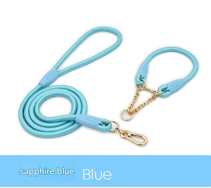 Blue Durable Nylon P-Collar Dog Training Set - Heavy Duty Leash & Martingale Collar (Size : S)