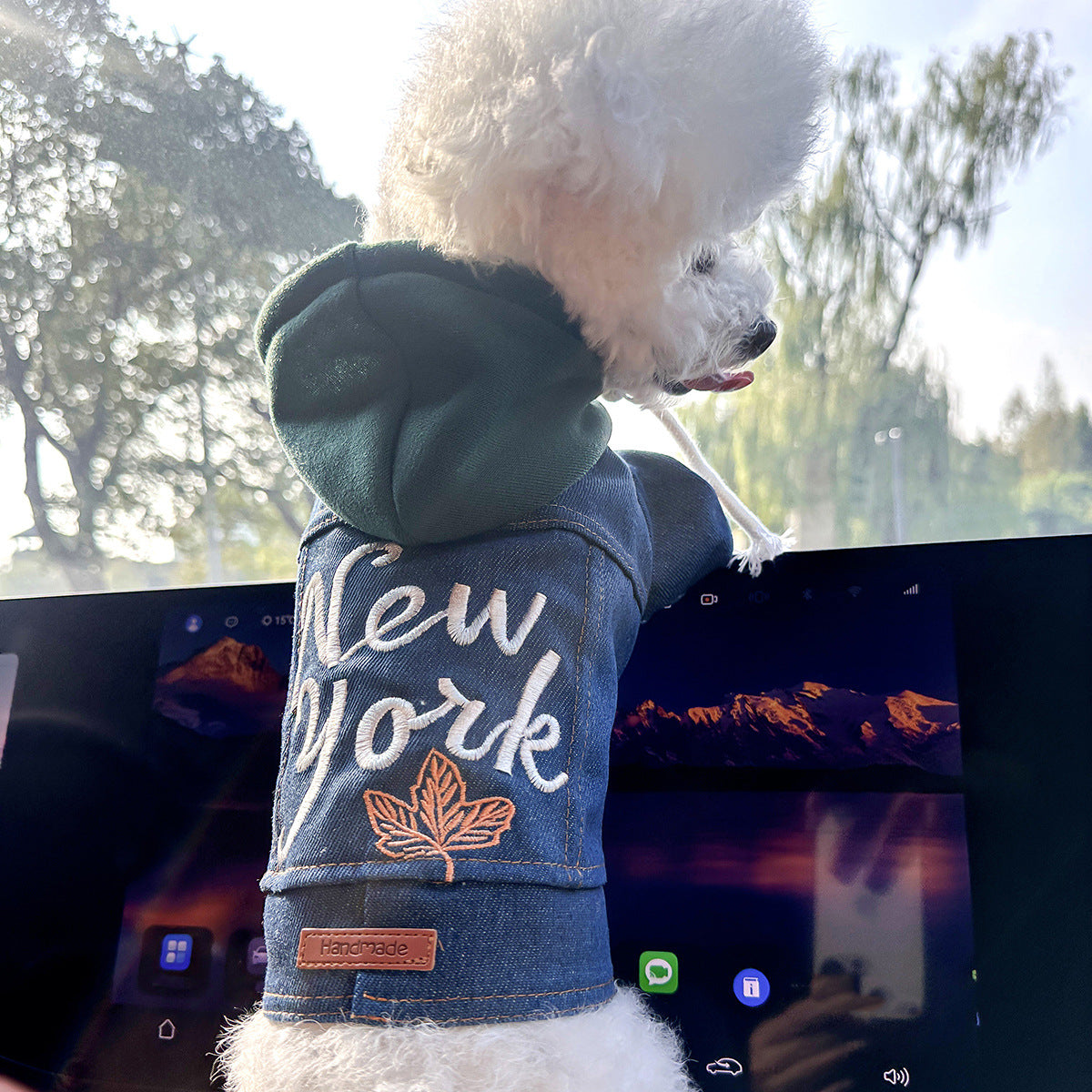 L Around 12kg New York Denim Chic Denim Pet Vest - Stylish Jean Jacket for Dogs & Cats - Spring, Summer & Autumn Fashion